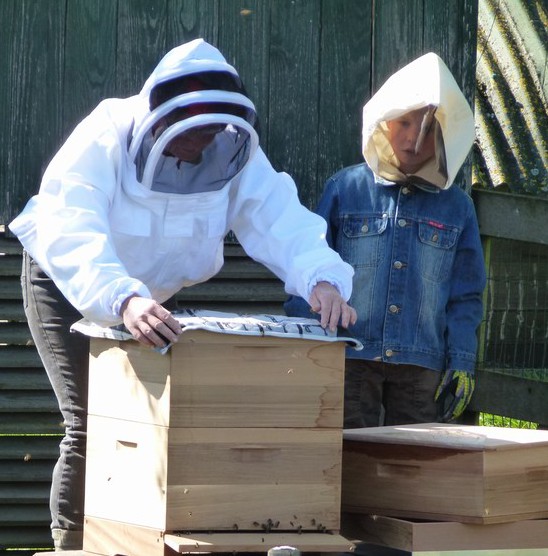 Kastdoeken worden over de bijen gelegd zodat de warmte binnen blijft.